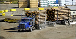 Commercial Lumber Shipping